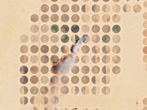 Ein Feld brennt im ägyptischen Gouvernement „Neues Tal“. Anhand der täglichen Wiederkehrzeiten lässt sich die Entwicklung der Pflanzenstände ablesen. Bild: Planet